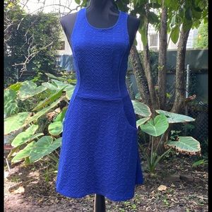 Silence & Noise Bright Blue Sun Dress